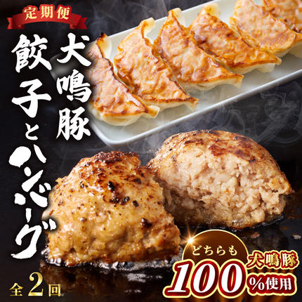 [泉佐野ブランド豚]犬鳴豚餃子 75個/手作りプレミアムハンバーグ(10個入り) 全2回[国産 豚肉 ぶたにく 定期便 食べ比べ 犬鳴ポーク 焼くだけ 人気 総菜 冷凍]