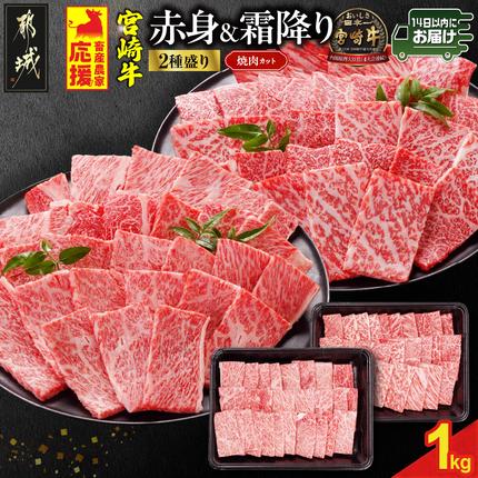 畜産農家応援! 宮崎牛焼肉2種セット500g×2パック≪みやこんじょ快速便≫_19-N2-002-1000-R
