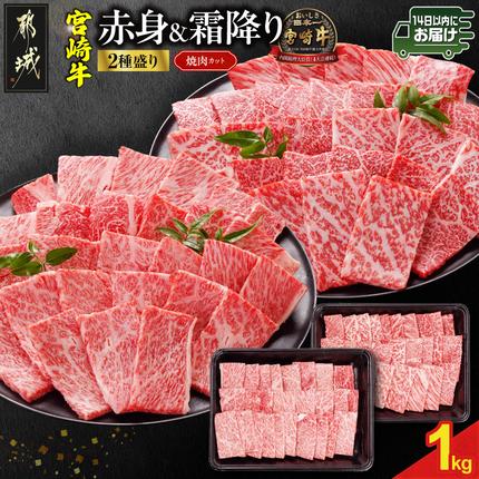 宮崎牛焼肉2種セット500g×2パック≪みやこんじょ快速便≫_19-N2-002-1000-R