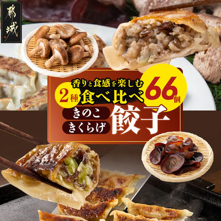 香りを堪能「きのこ餃子」&食感楽しむ「きくらげ餃子」食べ比べ66個_12-87-002