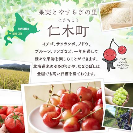 先行受付] さくらんぼ 佐藤錦 さくらんぼ Lサイズ以上 600g（300g×2