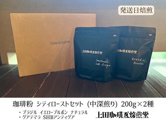 [上田珈琲豆焙煎堂]珈琲豆 中深煎り セット 200g×2種 セット ブラジルブルボン・グアテマラSHB[粉] HN