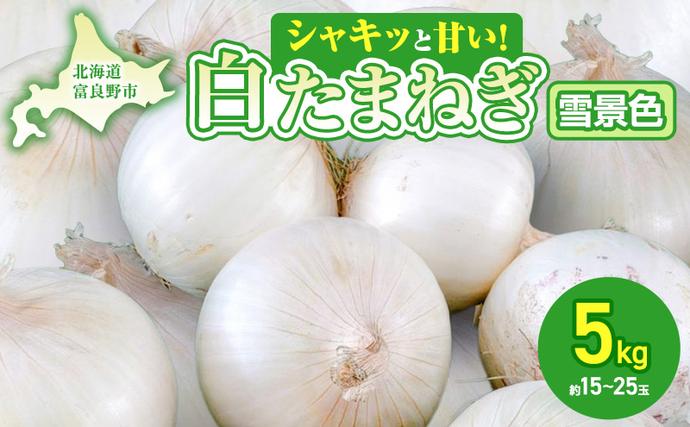[2026年夏発送]富良野産 白玉ねぎ 雪景色 約5kg (約15〜25玉)新玉ねぎ 野菜 甘い 新鮮 直送 玉ねぎ 玉葱 サラダ 北海道 富良野 幕田農園