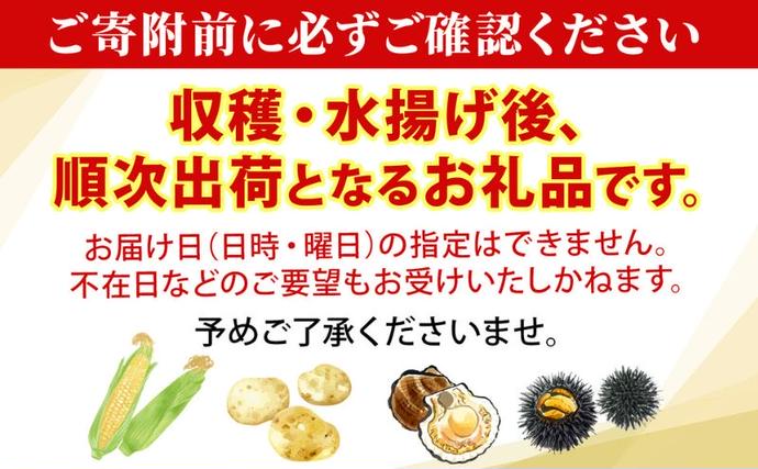 北海道洞爺湖町のふるさと納税 【セゾン限定】北海道 洞爺湖町産 新じゃがいも きたあかり 約10kg  Mサイズ以上混載 2026年10月初旬より順次出荷 北海道産 新じゃが じゃがいも ジャガイモ 馬鈴薯 旬 野菜 農作物 送料無料 産地直送 常温 洞爺湖町