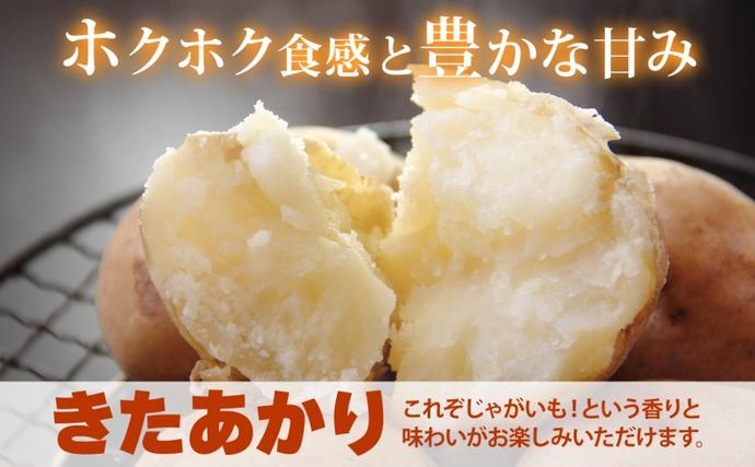 北海道洞爺湖町のふるさと納税 【セゾン限定】北海道 洞爺湖町産 新じゃがいも きたあかり 約10kg  Mサイズ以上混載 2026年10月初旬より順次出荷 北海道産 新じゃが じゃがいも ジャガイモ 馬鈴薯 旬 野菜 農作物 送料無料 産地直送 常温 洞爺湖町