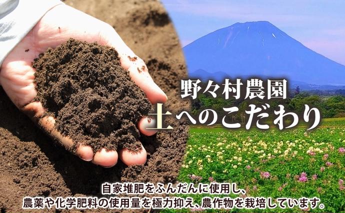 北海道洞爺湖町のふるさと納税 【セゾン限定】北海道 洞爺湖町産 新じゃがいも きたあかり 約10kg  Mサイズ以上混載 2026年10月初旬より順次出荷 北海道産 新じゃが じゃがいも ジャガイモ 馬鈴薯 旬 野菜 農作物 送料無料 産地直送 常温 洞爺湖町