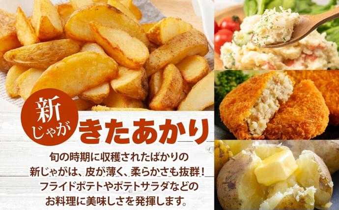 北海道洞爺湖町のふるさと納税 【セゾン限定】北海道 洞爺湖町産 新じゃがいも きたあかり 約10kg  Mサイズ以上混載 2026年10月初旬より順次出荷 北海道産 新じゃが じゃがいも ジャガイモ 馬鈴薯 旬 野菜 農作物 送料無料 産地直送 常温 洞爺湖町