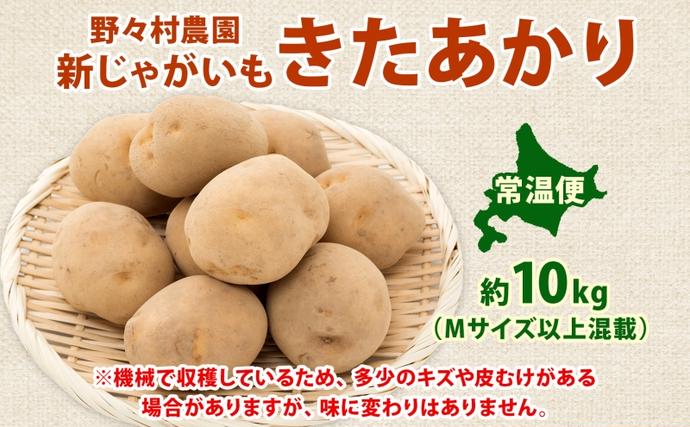 北海道洞爺湖町のふるさと納税 【セゾン限定】北海道 洞爺湖町産 新じゃがいも きたあかり 約10kg  Mサイズ以上混載 2026年10月初旬より順次出荷 北海道産 新じゃが じゃがいも ジャガイモ 馬鈴薯 旬 野菜 農作物 送料無料 産地直送 常温 洞爺湖町