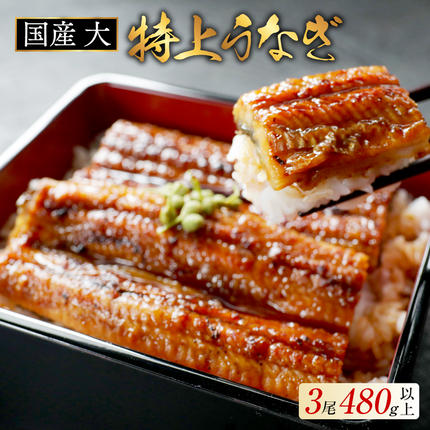 国産 大 特上うなぎ(160g×3尾)