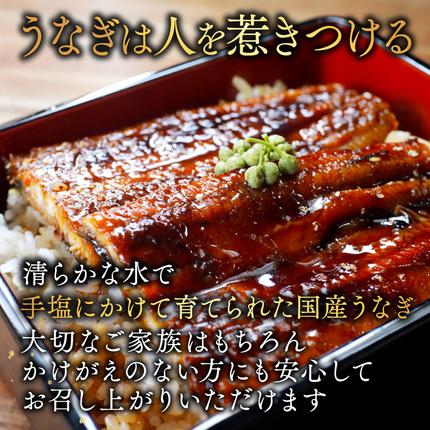 北海道別海町のふるさと納税 国産 希少 極大 特上うなぎ(250g×2尾)