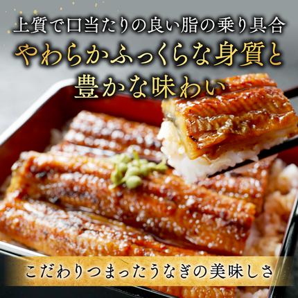 北海道別海町のふるさと納税 国産 希少 極大 特上うなぎ(250g×2尾)
