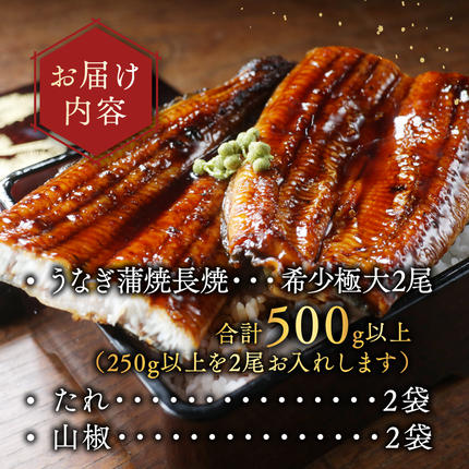 北海道別海町のふるさと納税 国産 希少 極大 特上うなぎ(250g×2尾)