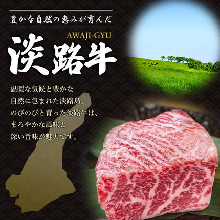 兵庫県淡路市のふるさと納税 淡路牛切り落とし 1.2kg (300g×4パック）【2026年8月より順次発送】切り落し 牛肉
