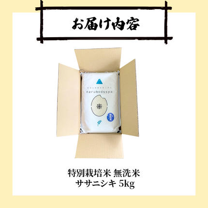 令和8年産 新米予約】【無洗米】秋田県産特別栽培米ササニシキ5kg×1袋 令和8年産 新米予約】【無洗米】秋田県産特別栽培米ササニシキ5kg×1袋