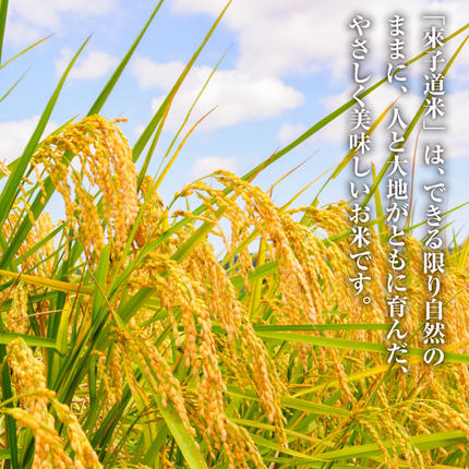 兵庫県淡路市のふるさと納税 來子道米 ～きしどうまい～ 450g×3個 【栽培期間中、無農薬無肥料】 白米