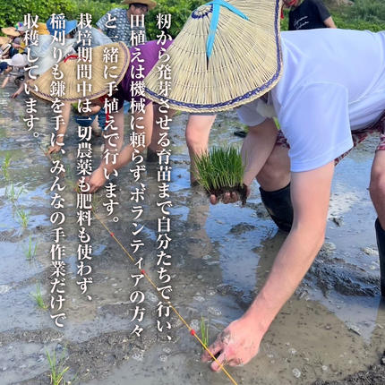 兵庫県淡路市のふるさと納税 來子道米 ～きしどうまい～ 450g×3個 【栽培期間中、無農薬無肥料】 白米