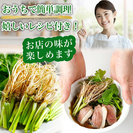 宮城県名取市のふるさと納税 鍋【期間限定】【お届け日時指定必須（12月15日以降お届け）】 仙台せり鍋セット 野田鴨（2～3人前） 漁亭 浜や 宮城ブランド 野田鴨で食す