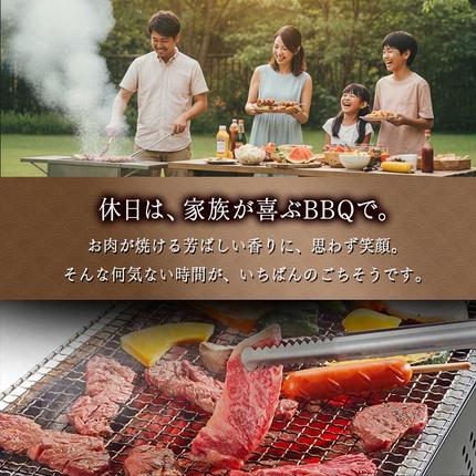宮崎県都城市のふるさと納税 【A5】宮崎牛サーロイン焼肉用500g_AE-0106