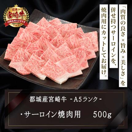 宮崎県都城市のふるさと納税 【A5】宮崎牛サーロイン焼肉用500g_AE-0106