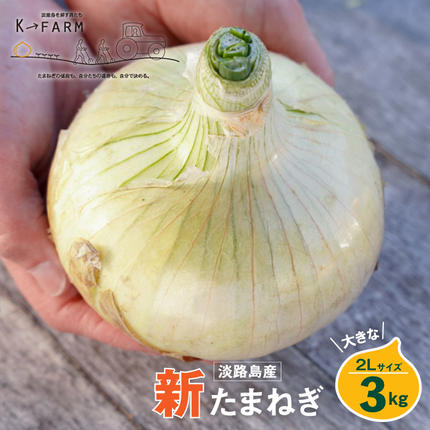 【新玉ねぎ】淡路島たまねぎ 大きな2Lサイ