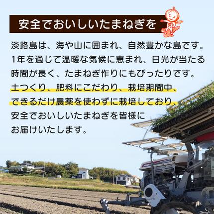 兵庫県淡路市のふるさと納税 【新玉ねぎ】淡路島たまねぎ 大きな2Lサイズ 3kg【発送時期：2026年3月下旬～5月頃】玉ねぎ