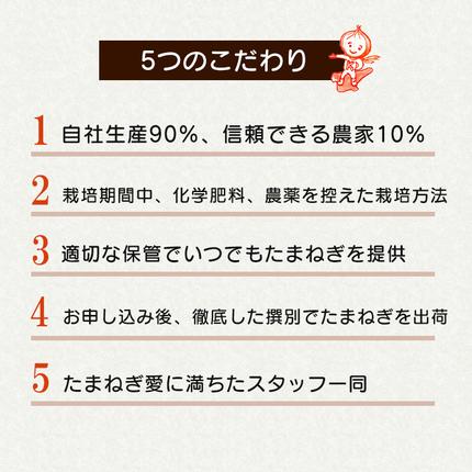 兵庫県淡路市のふるさと納税 【新玉ねぎ】淡路島たまねぎ 大きな2Lサイズ 3kg【発送時期：2026年3月下旬～5月頃】玉ねぎ