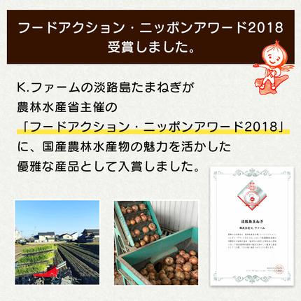 兵庫県淡路市のふるさと納税 【新玉ねぎ】淡路島たまねぎ 大きな2Lサイズ 3kg【発送時期：2026年3月下旬～5月頃】玉ねぎ