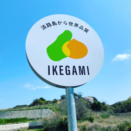 兵庫県淡路市のふるさと納税 【新玉ねぎ】淡路島 池上農場の「あやたけ」5kg【発送時期2026年3月下旬～5月頃】 玉ねぎ