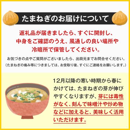 兵庫県淡路市のふるさと納税 淡路島産新玉ねぎ 5kg　玉ねぎ