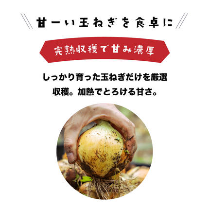 兵庫県淡路市のふるさと納税 健幸農園の完熟淡路島産玉ねぎ 5kg　玉ねぎ
