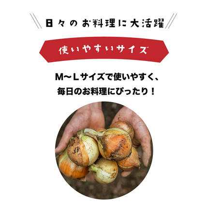 兵庫県淡路市のふるさと納税 健幸農園の完熟淡路島産玉ねぎ 5kg　玉ねぎ