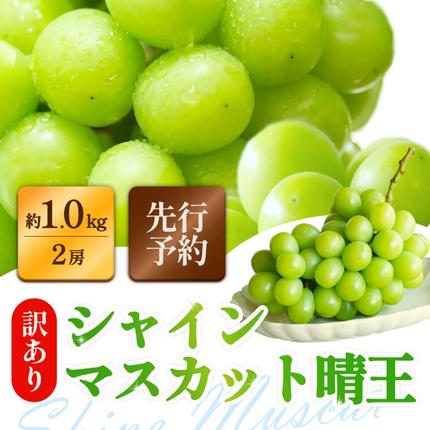 訳あり シャインマスカット 晴王 2房 合