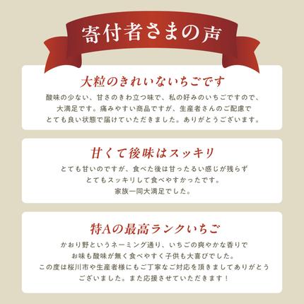 茨城県桜川市のふるさと納税 《 2027年 収穫分 》 完熟 かおり野 260g×4パック KEK 国産 いちご イチゴ 苺 くだもの 果物 フルーツ 冬 春 旬 [BC032sa]