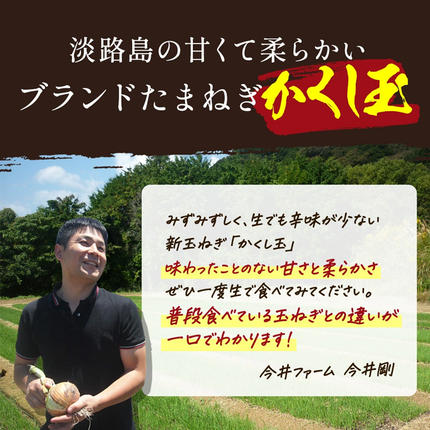 兵庫県淡路市のふるさと納税 【新玉ねぎ】今井ファームの淡路島たまねぎ「かくし玉」 2kg【発送時期2026年4月下旬～5月頃】