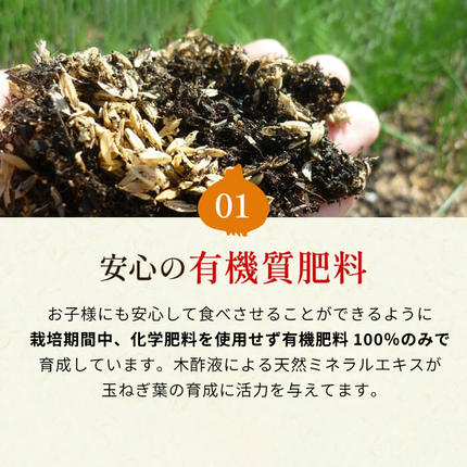 兵庫県淡路市のふるさと納税 【新玉ねぎ】今井ファームの淡路島たまねぎ「かくし玉」 2kg【発送時期2026年4月下旬～5月頃】