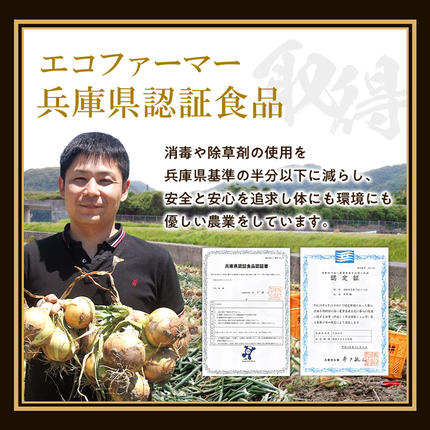 兵庫県淡路市のふるさと納税 淡路島たまねぎ 牛丼の具　150g×10食