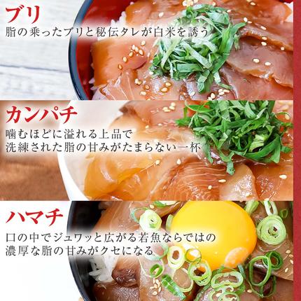 高知県田野町のふるさと納税 これが魚屋の漬け丼だ！魚屋のおまかせ5種漬け丼セット(マグロ＋鯛＋おまかせ3種) 5種×2P 合計10パック 各80g 鮪 ハマチ 鯛 カンパチ ブリ 詰め合わせ 漬け丼 漬け どんぶり 丼 鮮 魚 真空パック 個包装 冷凍