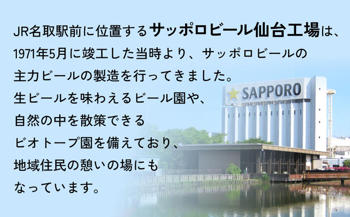 宮城県名取市のふるさと納税 ニッポンのシン・レモンサワー 500ml×48缶(2ケース分)同時お届け サッポロ 缶 チューハイ 酎ハイ