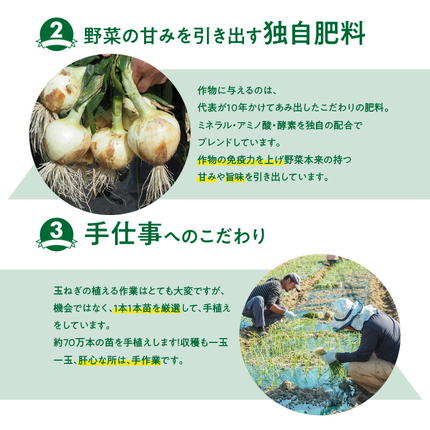 愛知県碧南市のふるさと納税 【5/31まで受付】(2027年発送) ≪『満天☆青空レストラン』で紹介されました！≫ 訳あり 新玉ねぎ 生がおいしい 神重農産のブランド玉ねぎ「旬玉」2kg ブランド玉ねぎ 玉ねぎ 国産 愛知県産 野菜 やさい 農家直送 畑直送 旬 期間限定 たまねぎ 先行予約 旬 特産 高評価 高リピート 人気日本テレビ H105-202