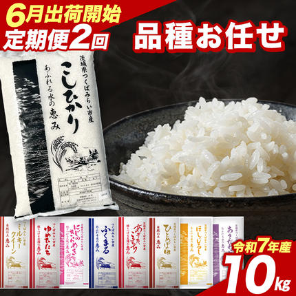 【 定期便（6～7月出荷）】品種おまかせ 