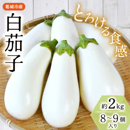 とろ～り旨なす(白茄子) 約2kg 8～9個【2026年7月初旬～9月末頃順次