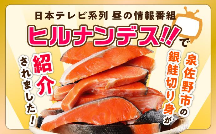 大阪府泉佐野市のふるさと納税 【訳あり】銀鮭 切り身 2kg(約18切れ)【規格外 甘塩 バラ凍結 海鮮 魚介 鮭 さけ しゃけ お弁当 朝食 おかず 簡単調理 家計応援】 kgp0009