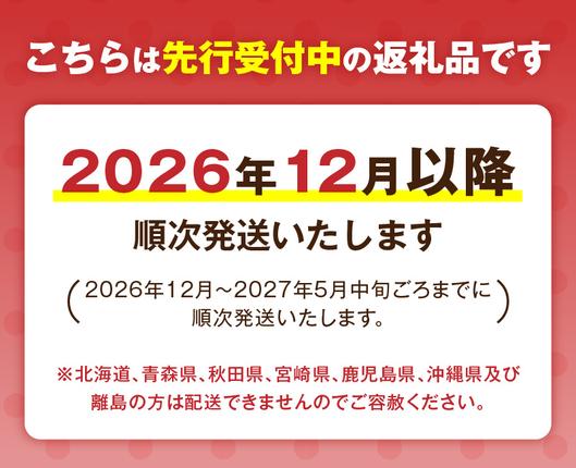 愛知県碧南市のふるさと納税 （予約受付中）【12月以降順次発送】まるで赤いサファイア!!丹精込めた完熟いちご!! 約450g H130-012