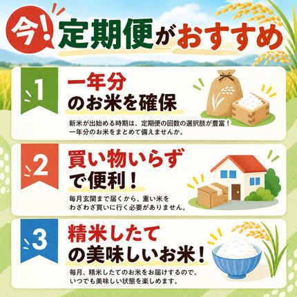 新潟県魚沼市のふるさと納税 無洗米 定期便 6ヶ月 コシヒカリ 5kg 米 白米 お米 魚沼産コシヒカリ 新潟米 新潟 魚沼市 定期 6回