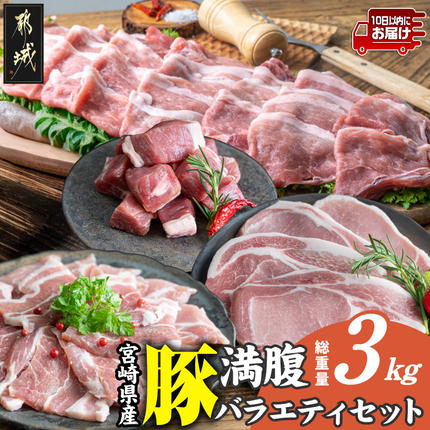 宮崎県産豚 満腹バラエティ3kgセット≪みやこんじょ特急便≫