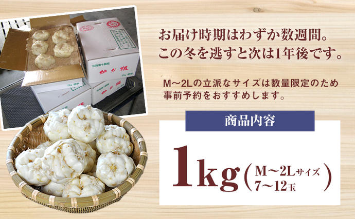 2026年10月発送 先行予約 十勝「忠類ゆり根」1kg (7～12玉) M～2L［JA