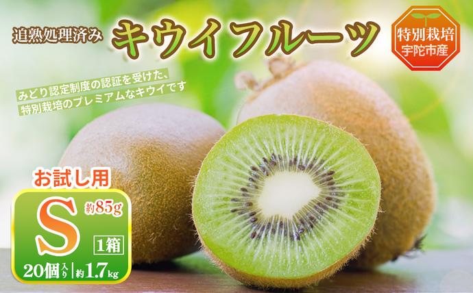 ＜2026年12月〜3月発送＞プレミアム 