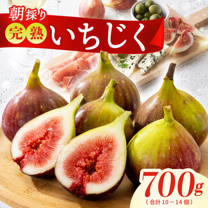 [先行予約][農家直送]朝採り 完熟いちじく 700g以上 099H4538