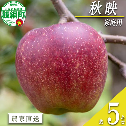 りんご 秋映 家庭用 5kg 永正の地蔵尊