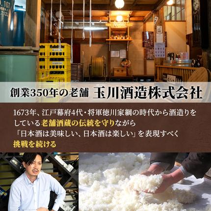 新潟県魚沼市のふるさと納税 日本酒 セット 金賞 プラチナ賞 計7冠受賞 純米大吟醸 目黒五郎助 純米吟醸 越乃雪蔵 1.8L 2本 セット 日本酒 清酒 地酒 新潟 魚沼市